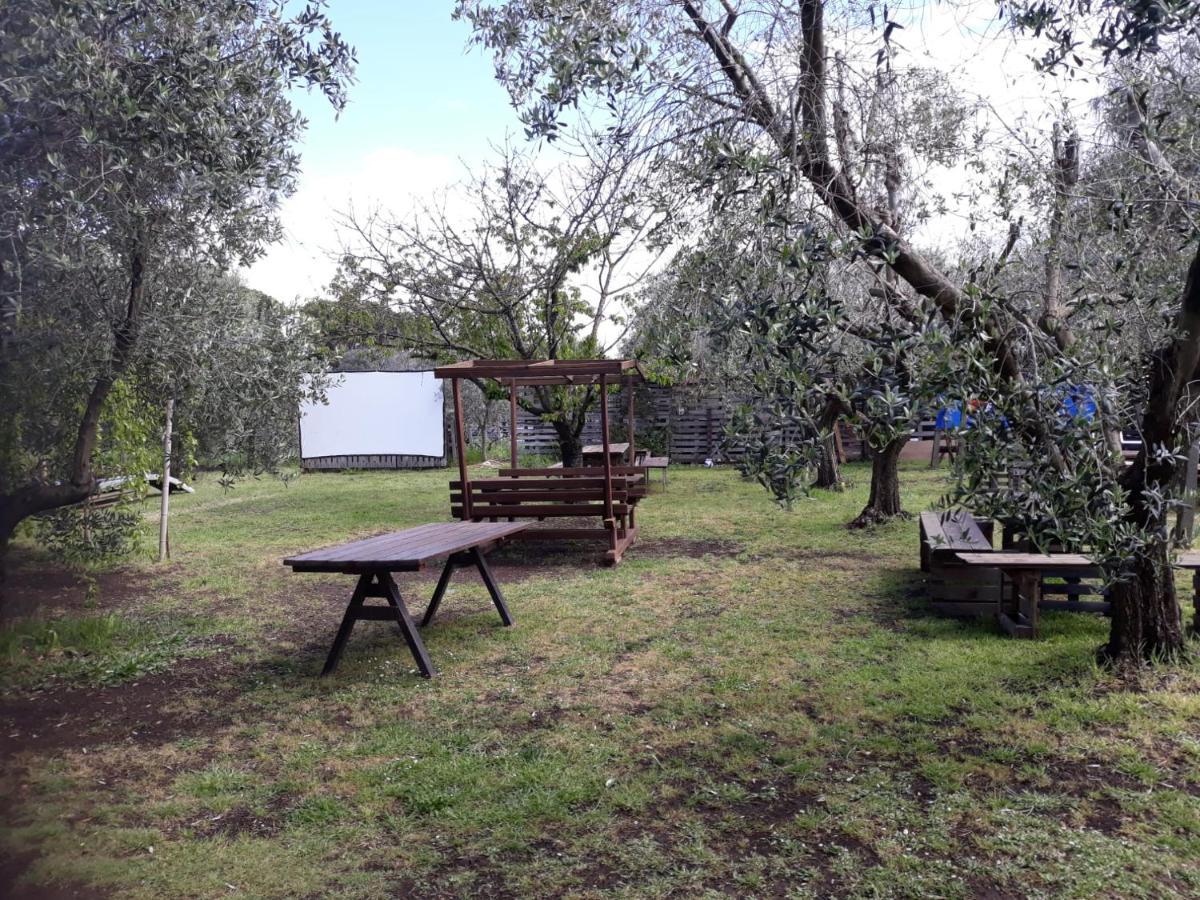 Bici Grill Decimo Miglio Aeroporto Ciampino Francigena Country House מראה חיצוני תמונה